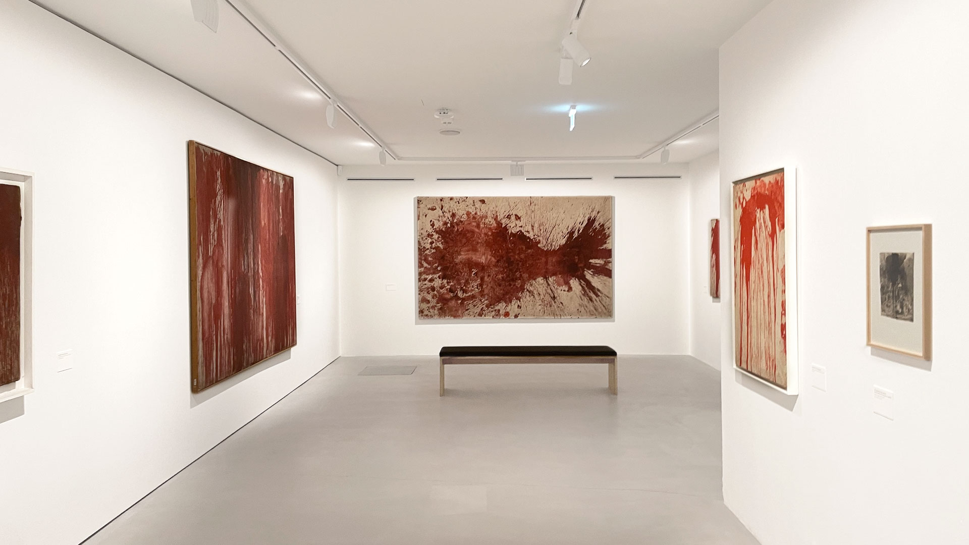 wam_nitsch-60-65_003a